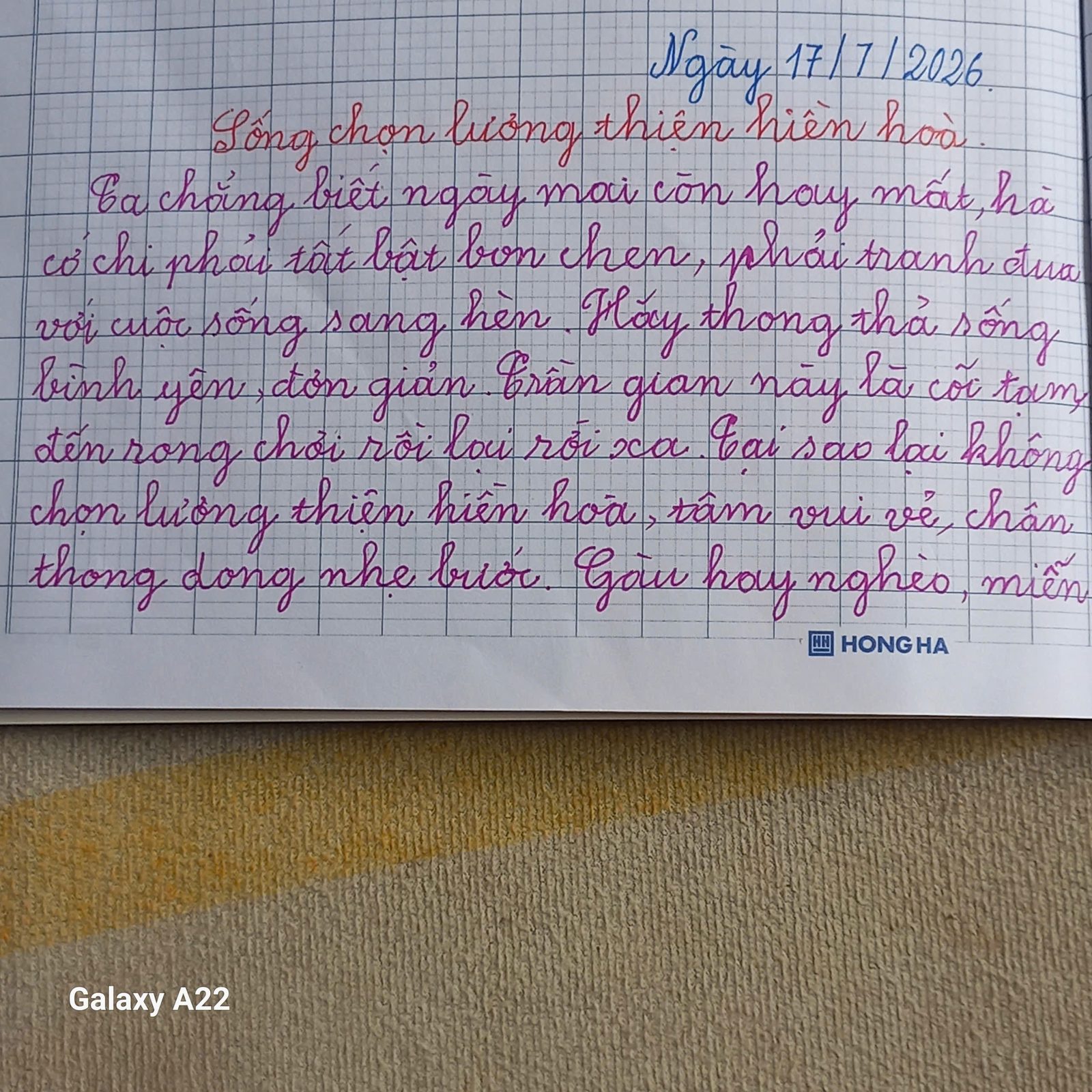 Trang sổ chép tay ngày 17/7/2026